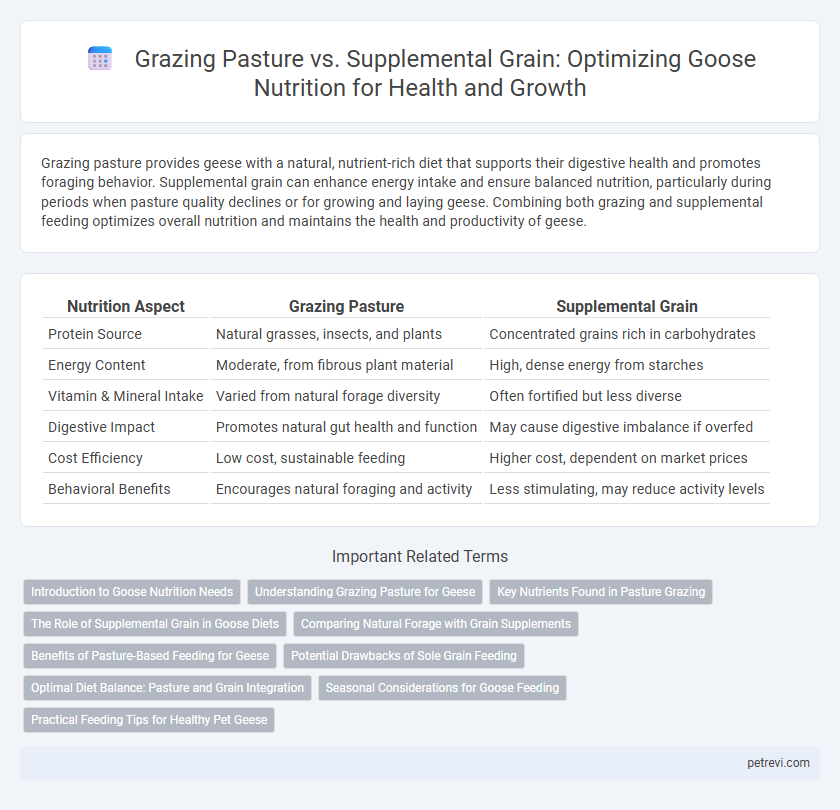 Grazing Pasture vs. Supplemental Grain: Optimizing Goose Nutrition for Health and Growth