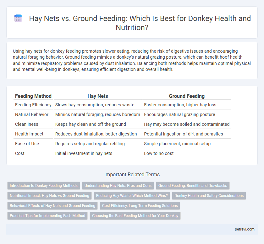 Hay Nets vs. Ground Feeding: Which Is Best for Donkey Health and Nutrition?