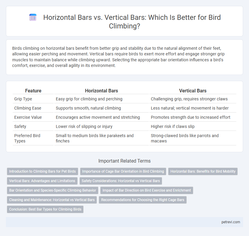 Horizontal Bars vs. Vertical Bars: Which Is Better for Bird Climbing?