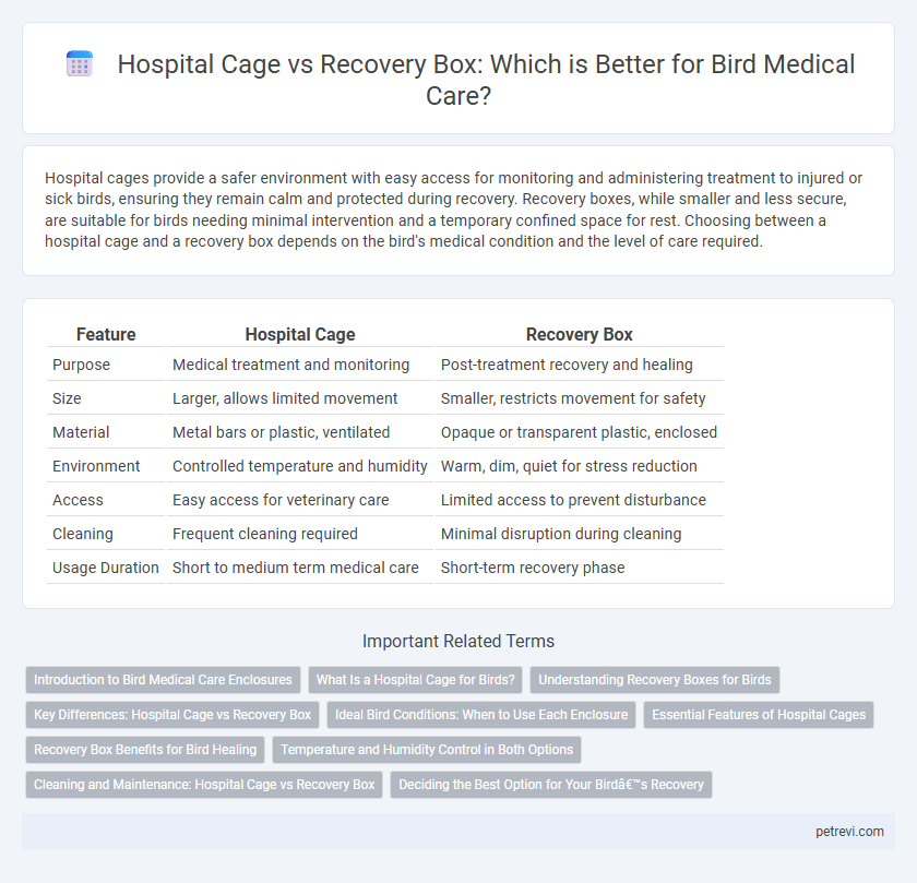 Hospital Cage vs Recovery Box: Which is Better for Bird Medical Care?
