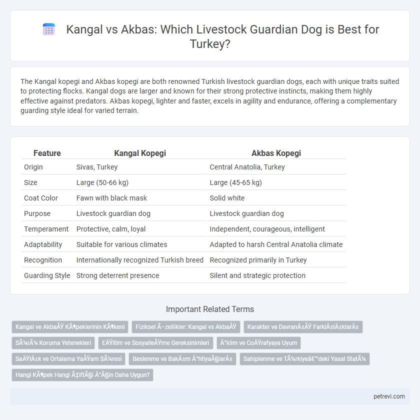 Kangal vs Akbas: Which Livestock Guardian Dog is Best for Turkey?