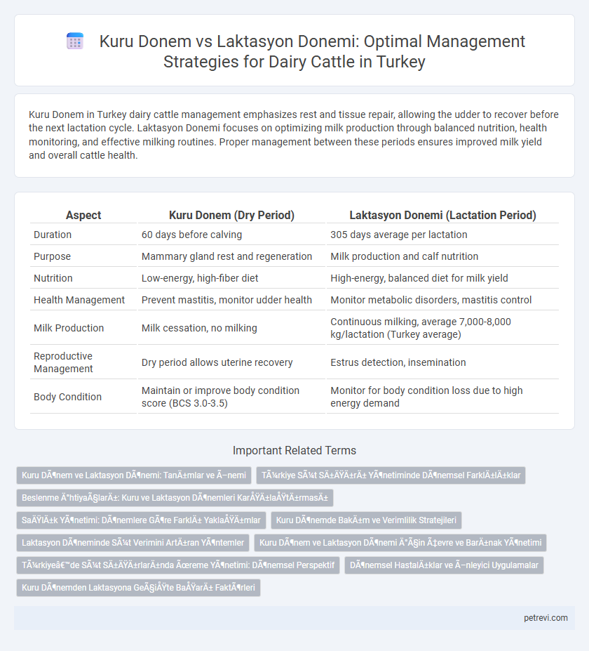 Kuru Donem vs Laktasyon Donemi: Optimal Management Strategies for Dairy Cattle in Turkey