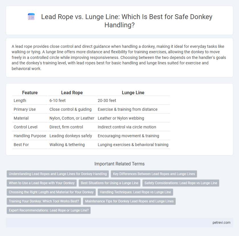 Lead Rope vs. Lunge Line: Which Is Best for Safe Donkey Handling?