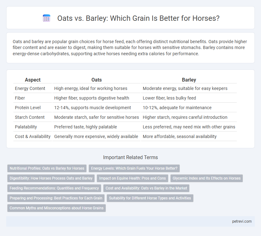 Oats vs. Barley: Which Grain Is Better for Horses?