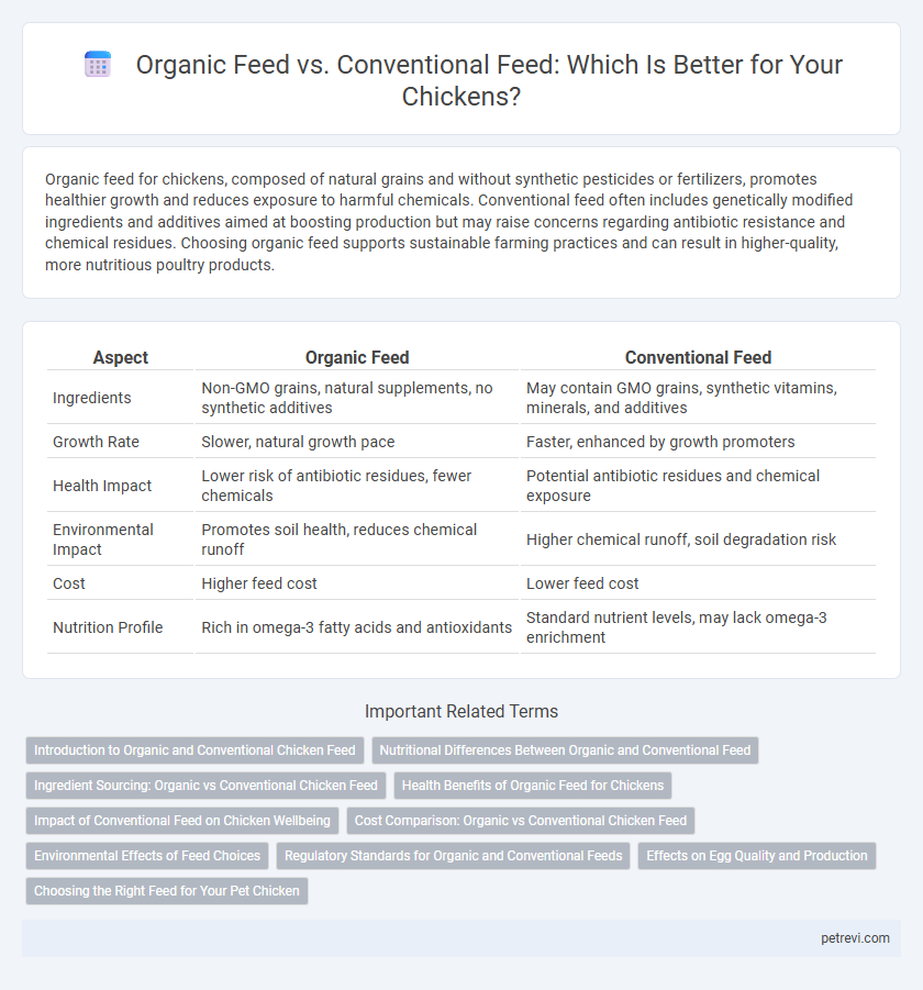 Organic Feed vs. Conventional Feed: Which Is Better for Your Chickens?