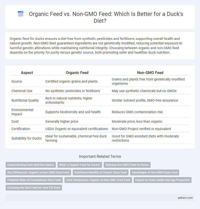 Organic Feed vs. Non-GMO Feed: Which Is Better for a Duck's Diet?