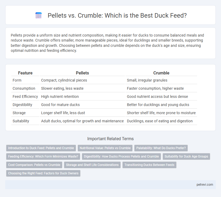 Pellets vs. Crumble: Which is the Best Duck Feed?