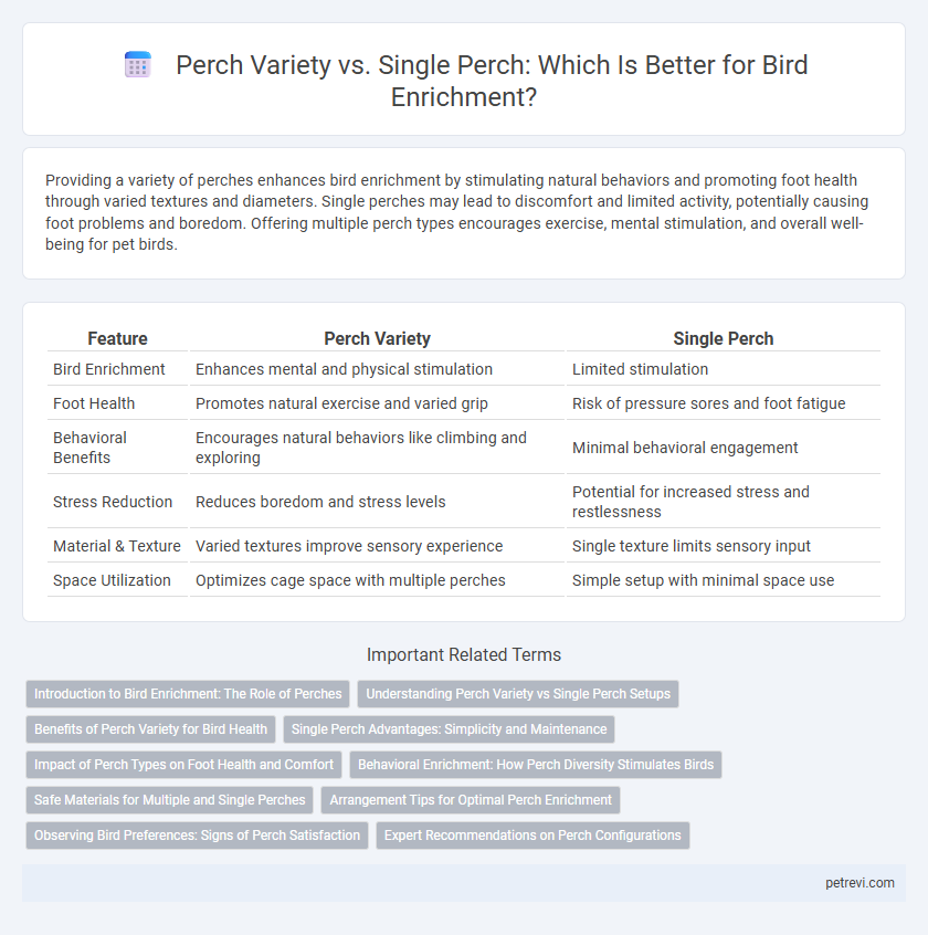 Perch Variety vs. Single Perch: Which Is Better for Bird Enrichment?