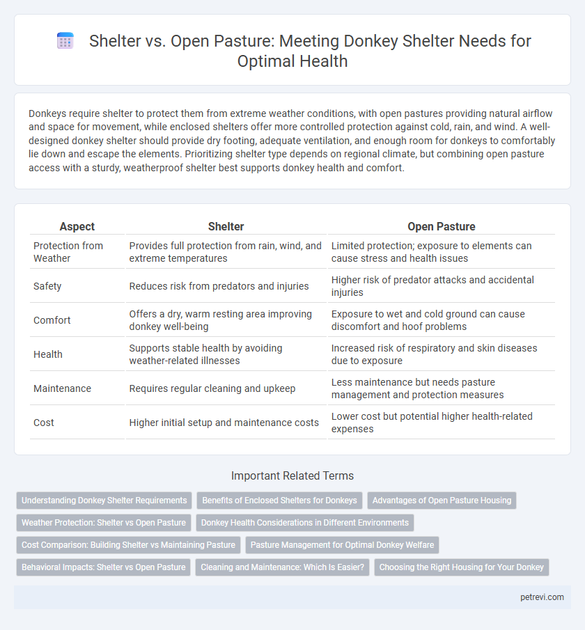 Shelter vs. Open Pasture: Meeting Donkey Shelter Needs for Optimal Health