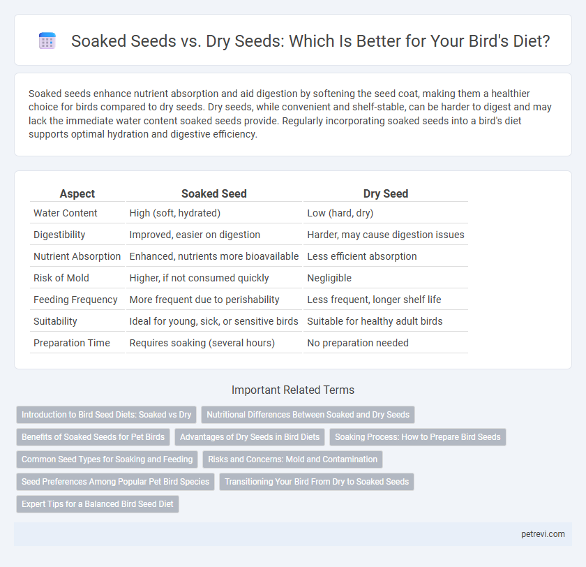 Soaked Seeds vs. Dry Seeds: Which Is Better for Your Bird's Diet?