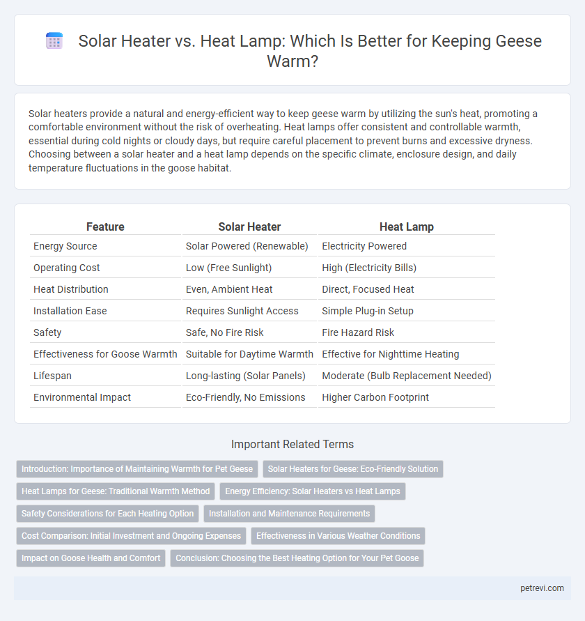 Solar Heater vs. Heat Lamp: Which Is Better for Keeping Geese Warm?
