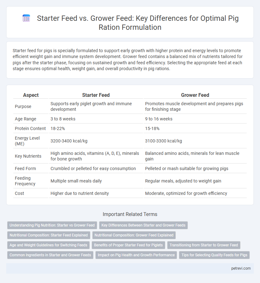Starter Feed vs. Grower Feed: Key Differences for Optimal Pig Ration Formulation