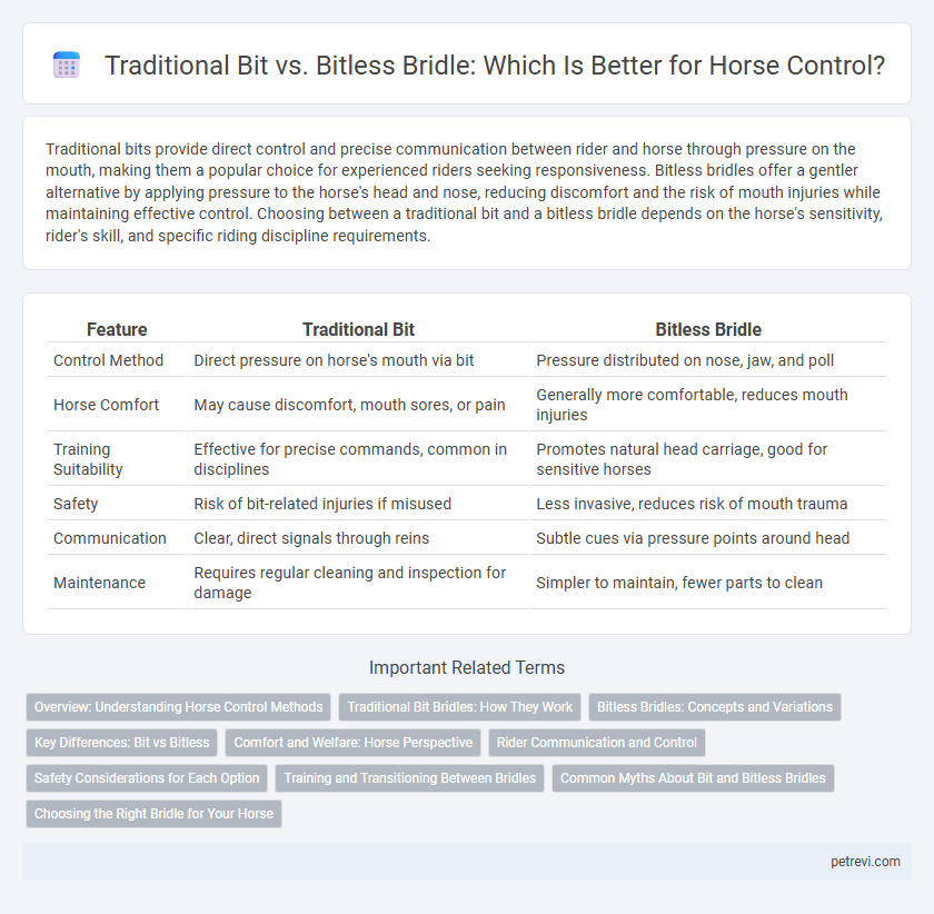 Traditional Bit vs. Bitless Bridle: Which Is Better for Horse Control?