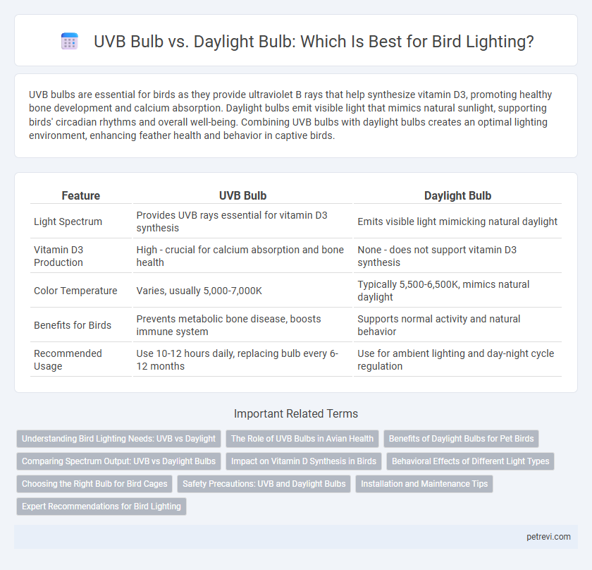 UVB Bulb vs. Daylight Bulb: Which Is Best for Bird Lighting?