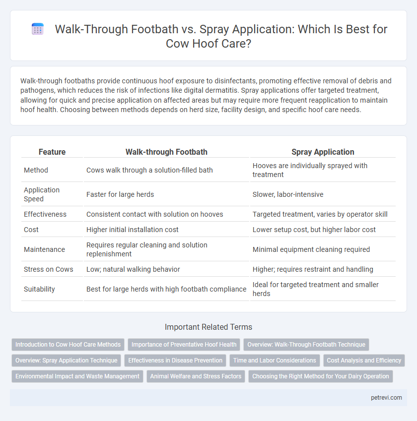 Walk-Through Footbath vs. Spray Application: Which Is Best for Cow Hoof Care?
