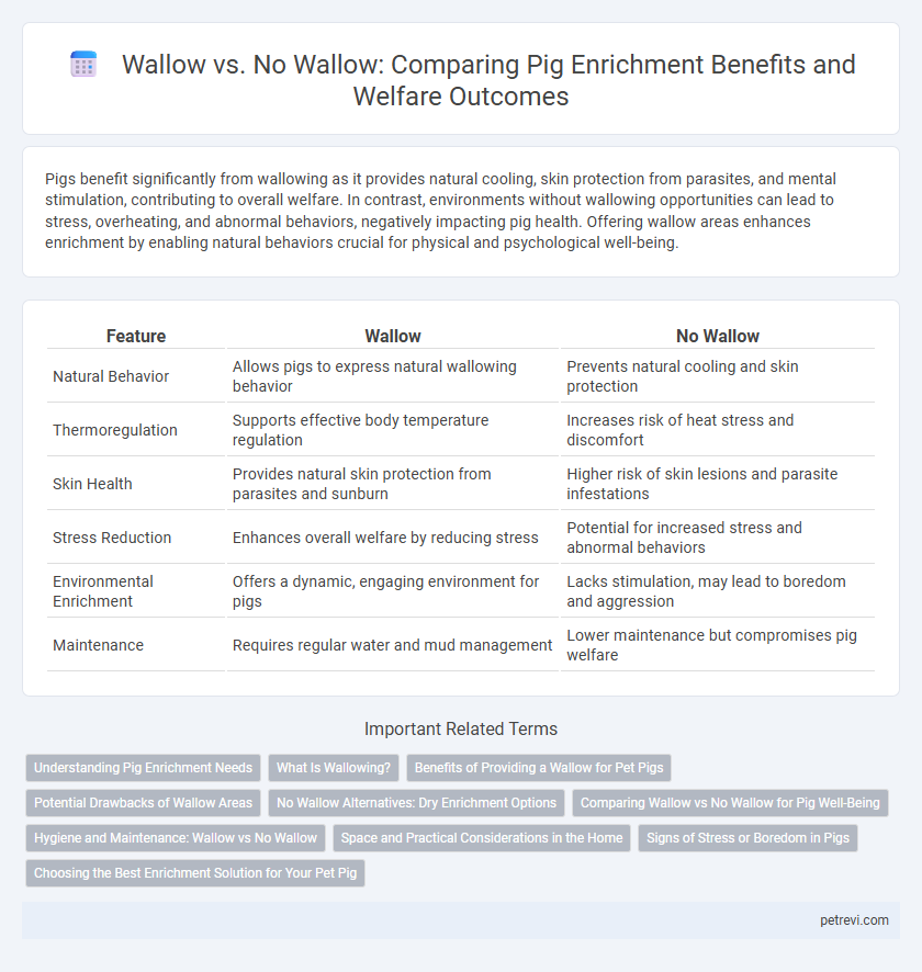 Wallow vs. No Wallow: Comparing Pig Enrichment Benefits and Welfare Outcomes