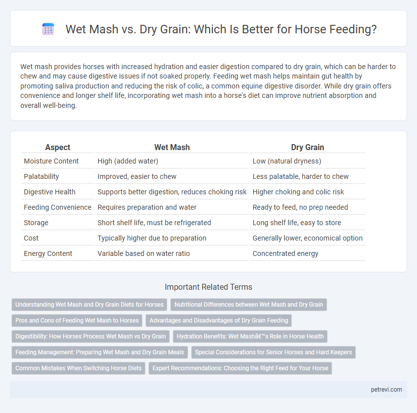 Wet Mash vs. Dry Grain: Which Is Better for Horse Feeding?